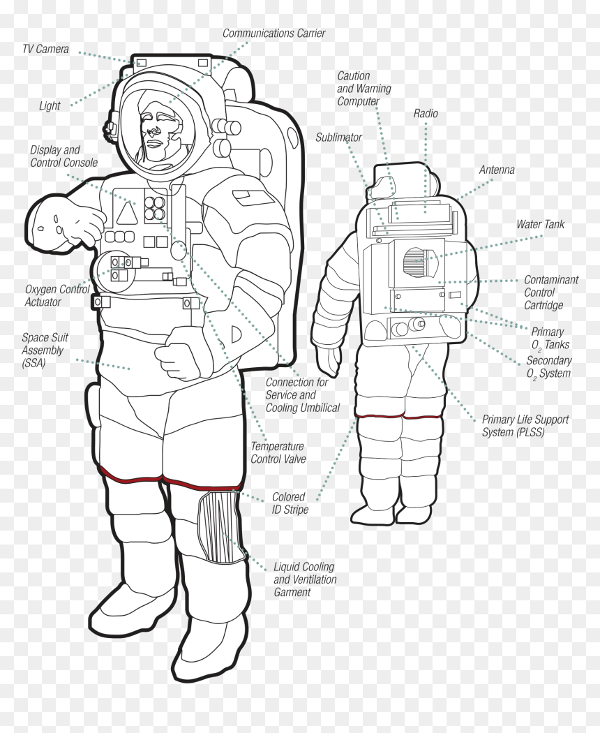 Transparent Emu Clipart - Illustration, HD Png Download - space suit png