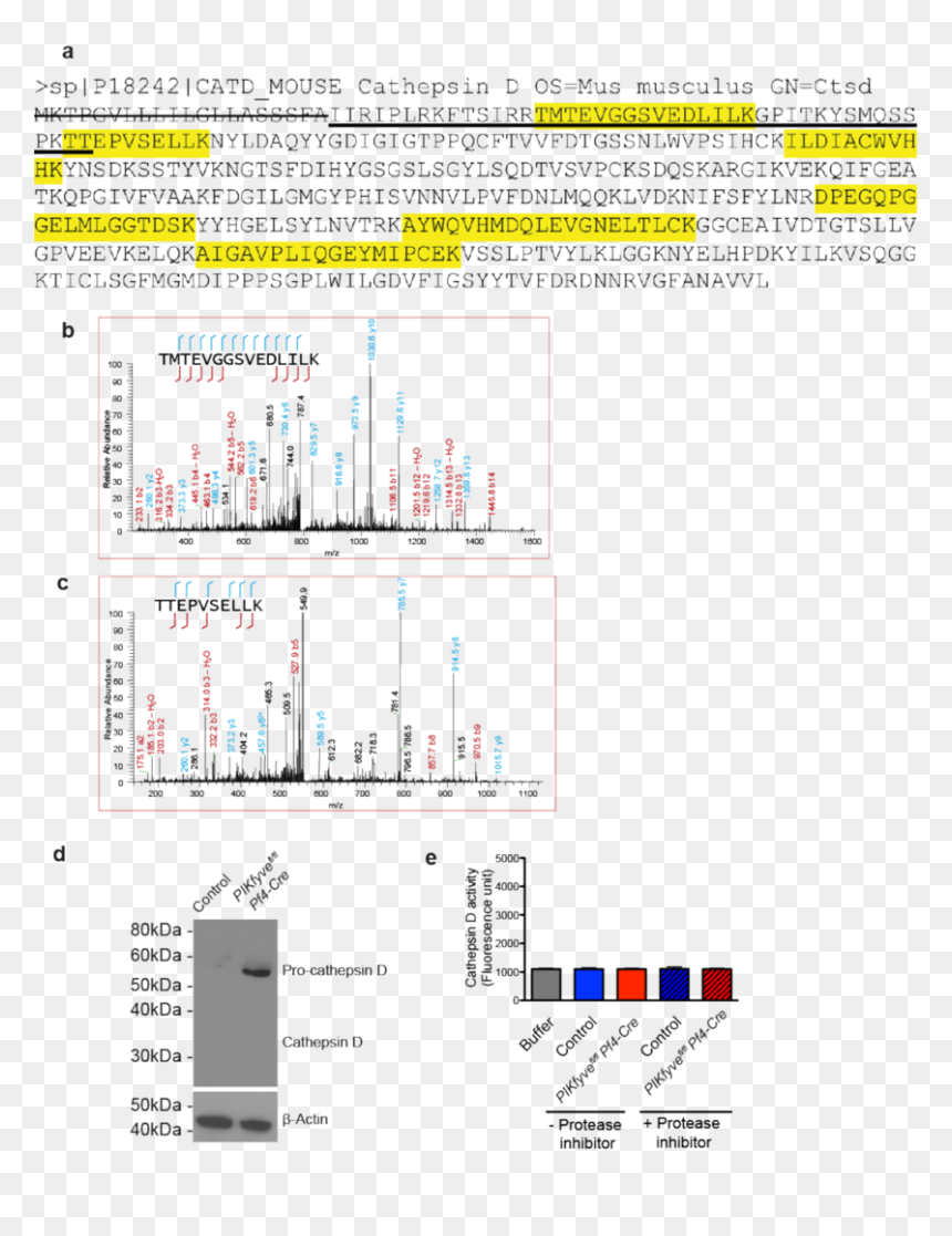 Screenshot, HD Png Download - crossed out png