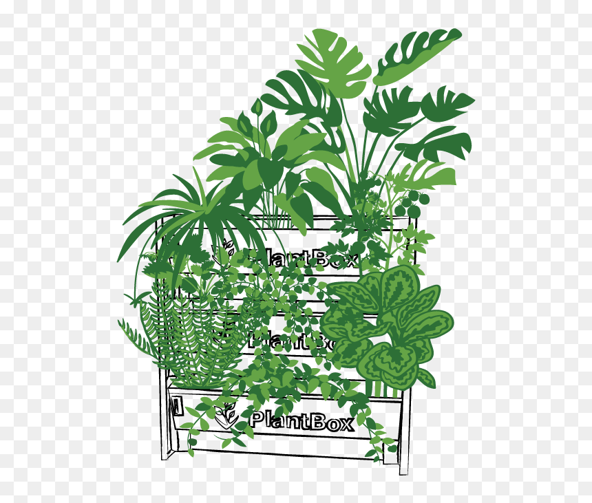 Illustration, HD Png Download - jungle plants png