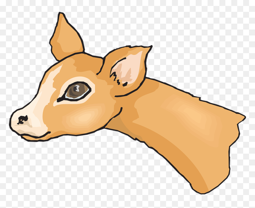 รูป สัตว์ ป่า แบบ เ, HD Png Download - deer skull png