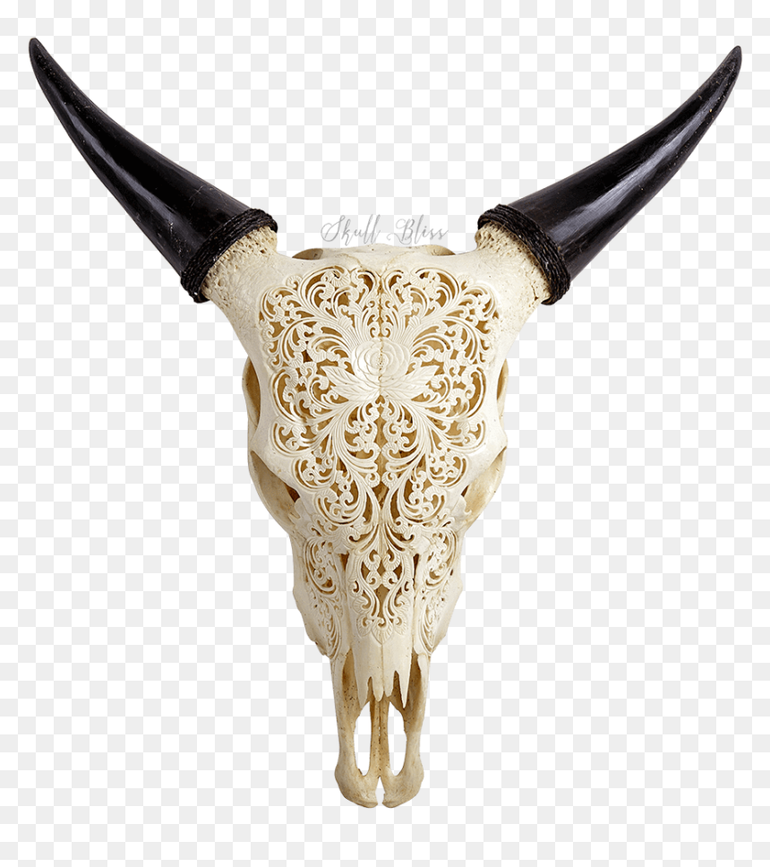 Carved Cow Skull - Carved Real Cow Skull, HD Png Download - deer skull png