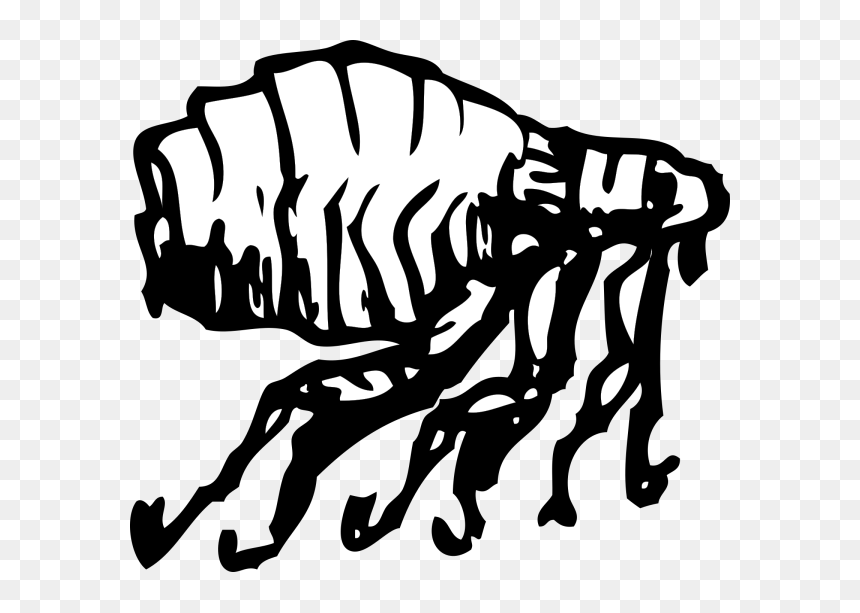 Flea Png Icons - Flea Clipart Png, Transparent Png - flea png