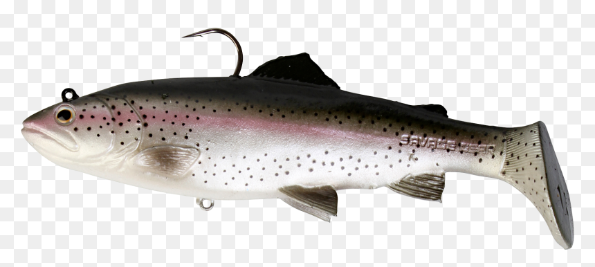 Brown Trout Rainbow Trout 3d Modeling Fishing - Savage Gear Rattle Shad, HD Png Download - trout png