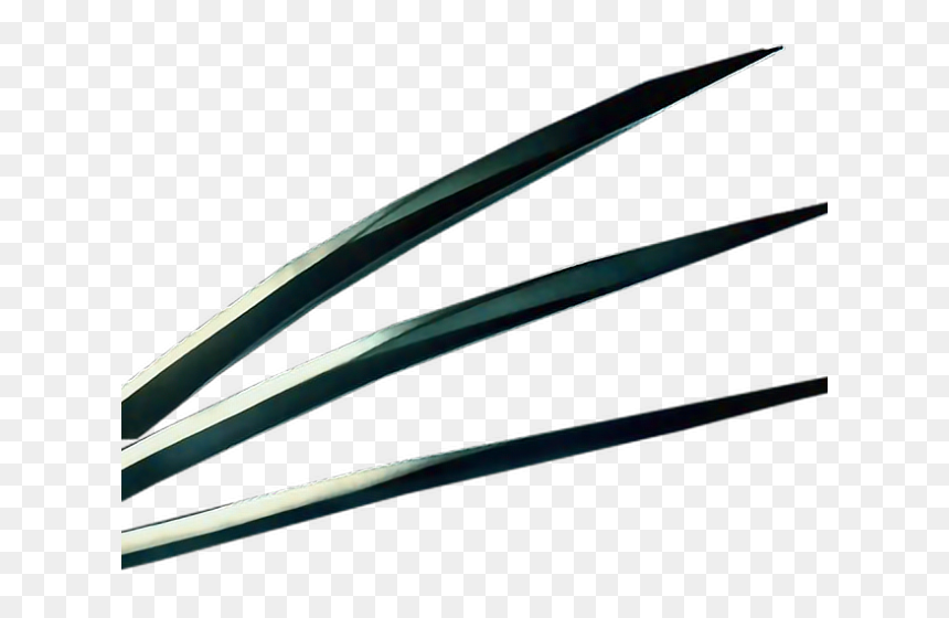 Transparent Wolverine Claws, HD Png Download - wolverine claws png