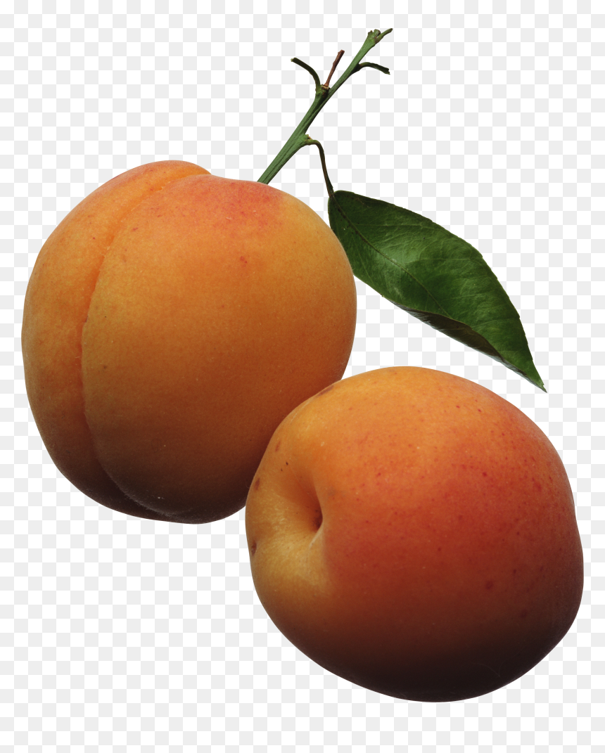 Peaches - Apricots Clipart, HD Png Download - peaches png