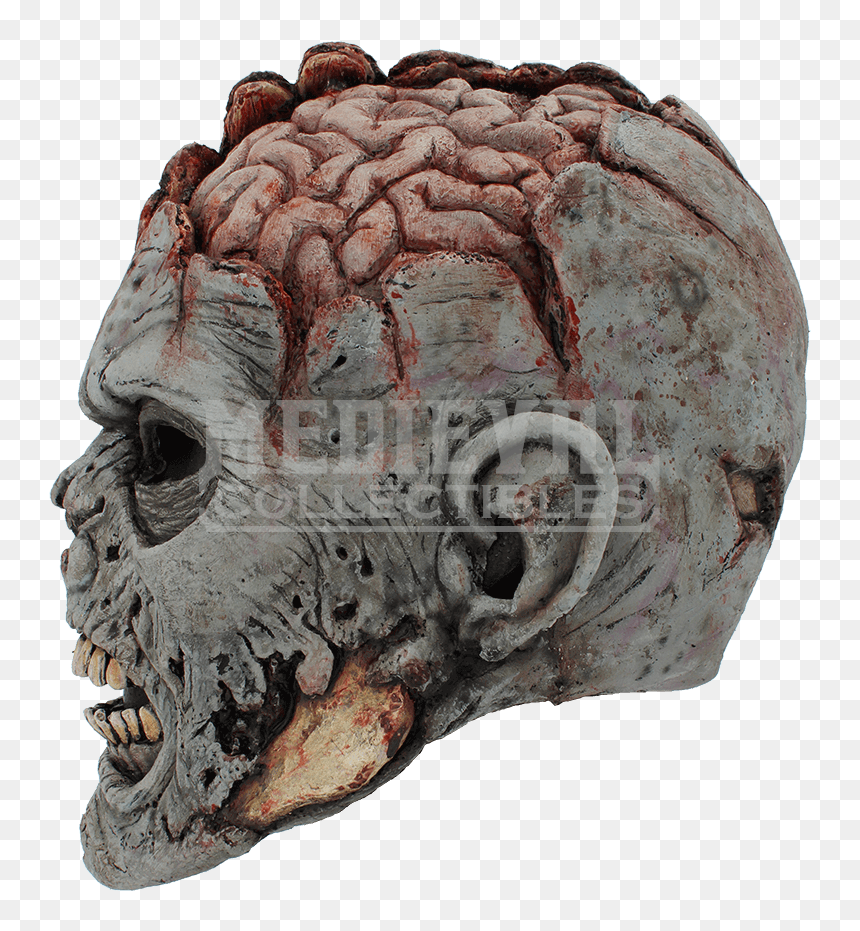 Skull Brain Mask Head Grey Matter - Zombie Head Png, Transparent Png - deer skull png