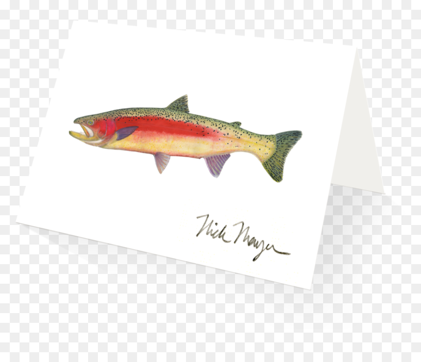 New Zealand Rainbow Trout - Trout, HD Png Download - trout png