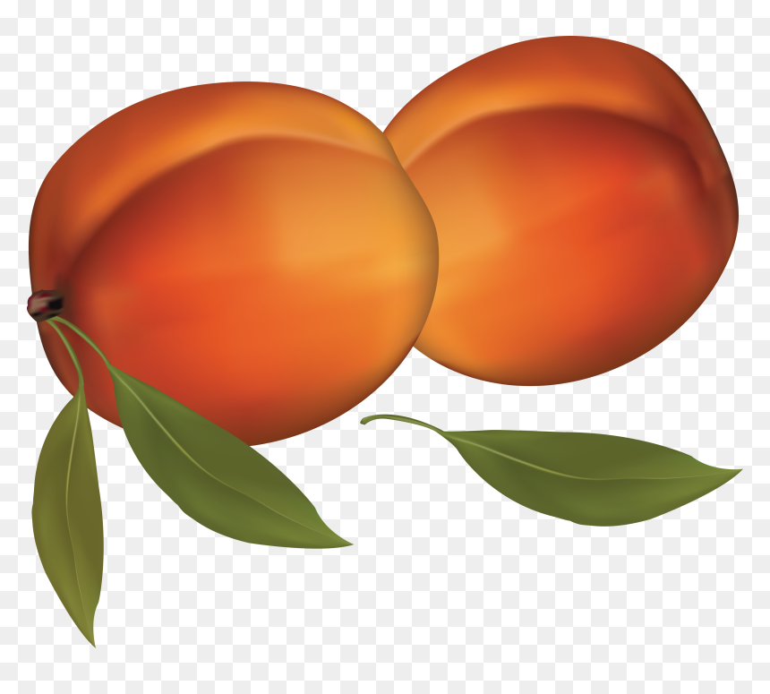Peaches - Peaches Clipart Transparent Background, HD Png Download - peaches png