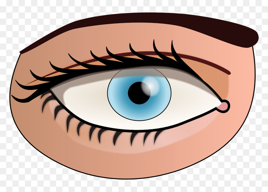 Eye Clipart - Part Of Body Eye, HD Png Download - eye clipart png
