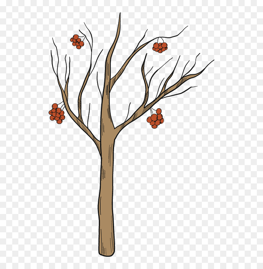 Illustration, HD Png Download - winter tree png