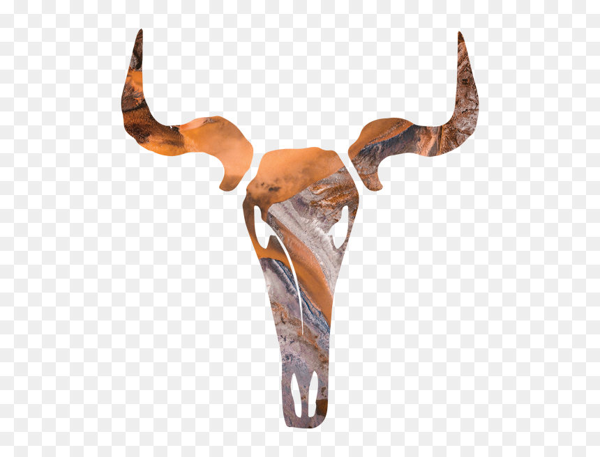 Skull - Deer, HD Png Download - deer skull png