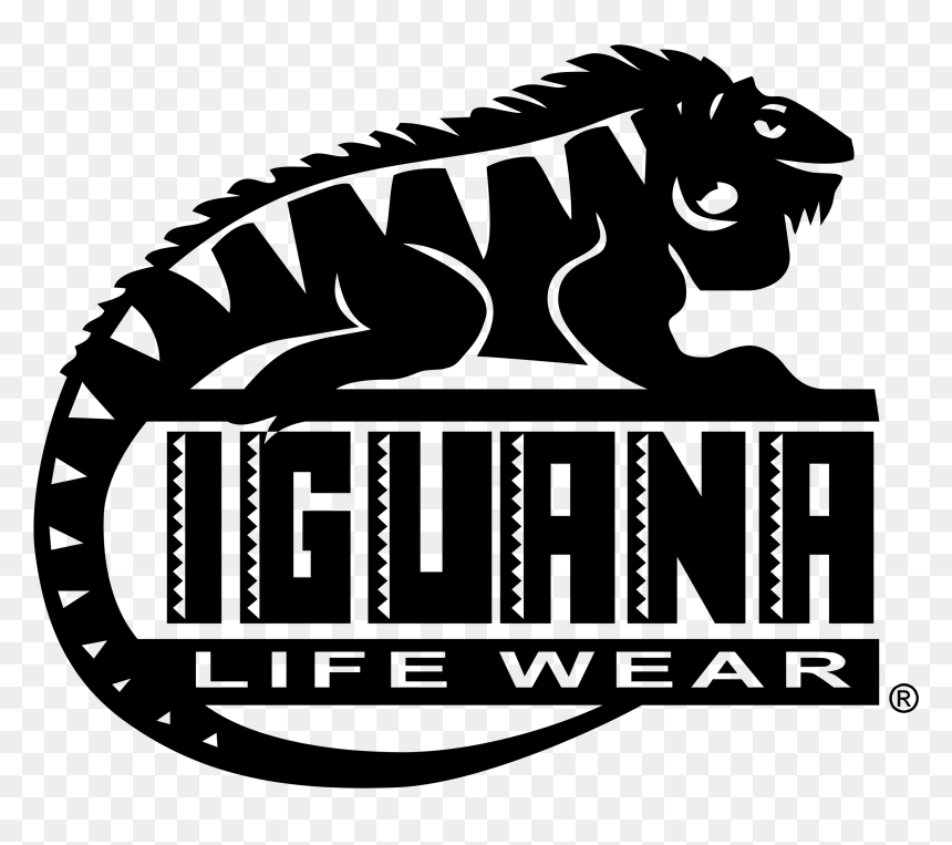 Iguana Vector, HD Png Download - iguana png
