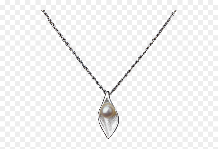 Luo Linglong S925 Silver Jewelry Pearl Tree Necklace - Necklace, HD Png Download - black chain png