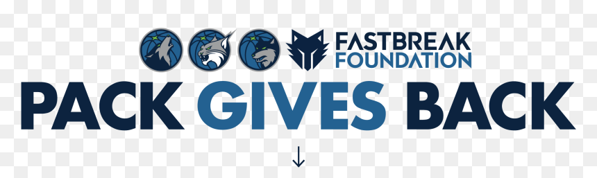 Graphic Design, HD Png Download - timberwolves logo png