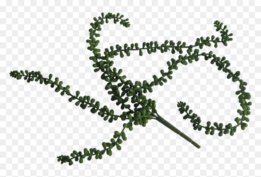 Transparent String Of Pearls Clipart, HD Png Download - string of pearls png