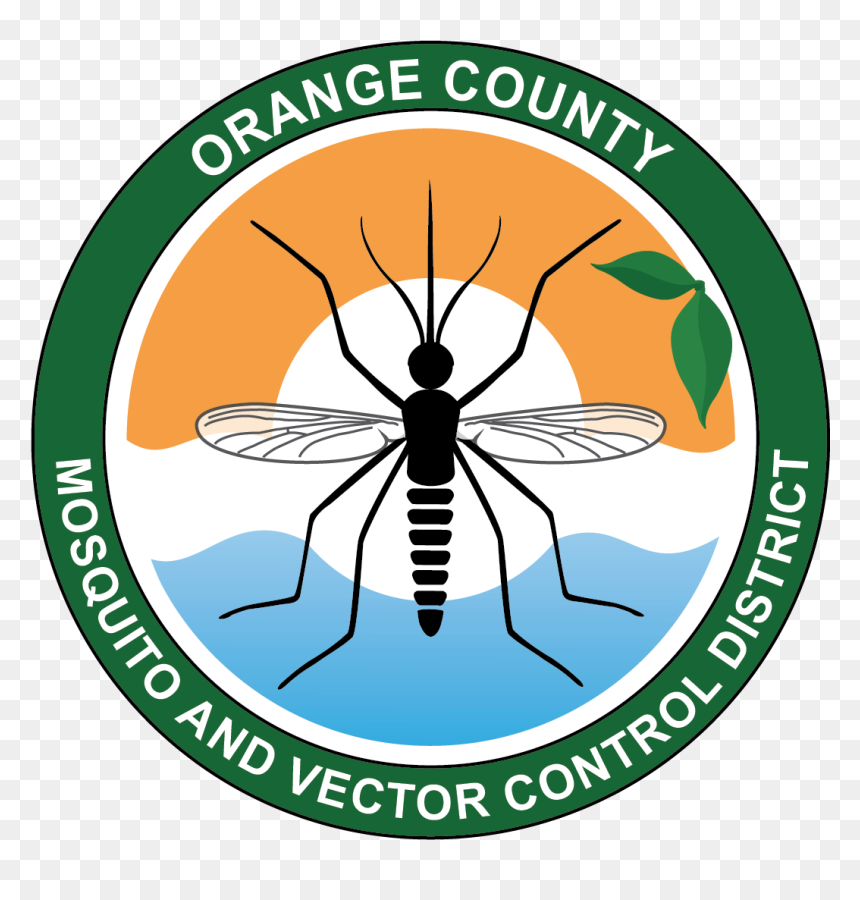 Ocmvcd On Twitter From - Orange County Vector Control, HD Png Download - flea png