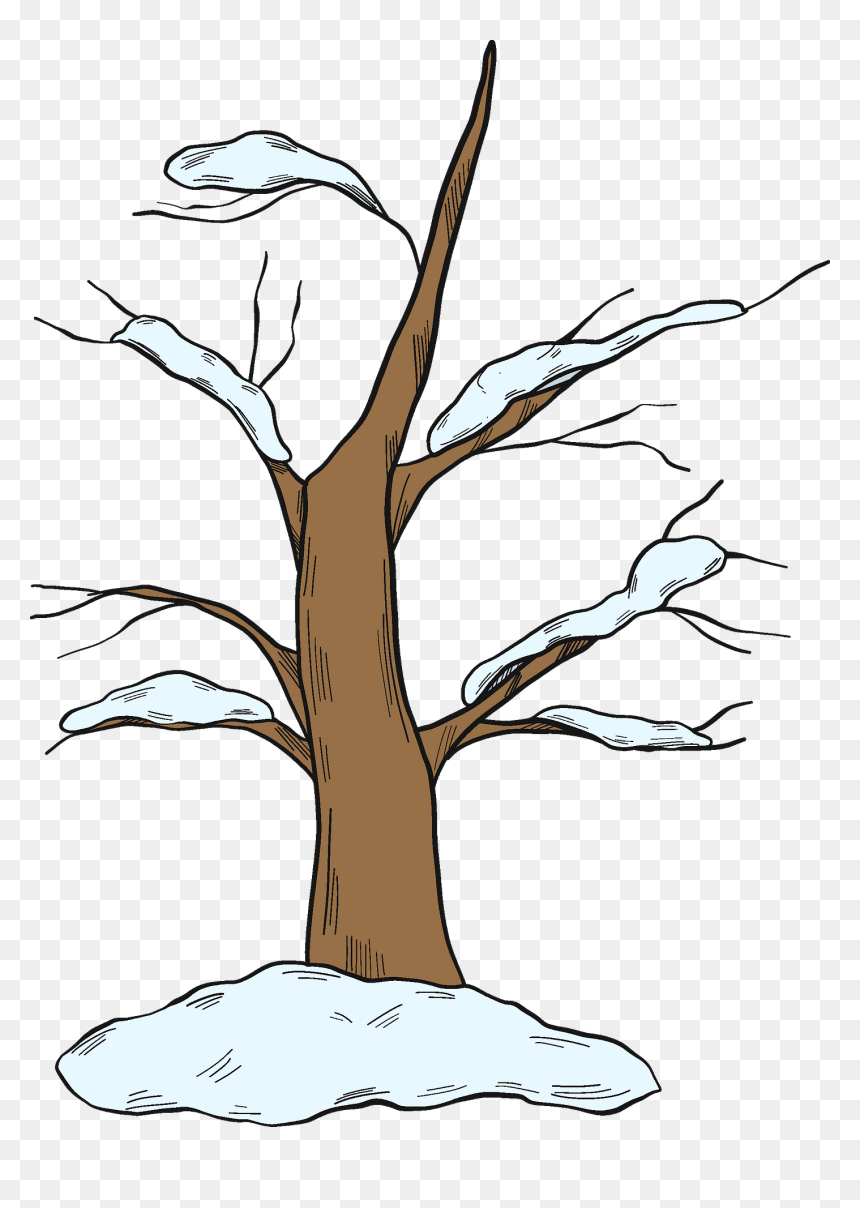 Illustration, HD Png Download - winter tree png