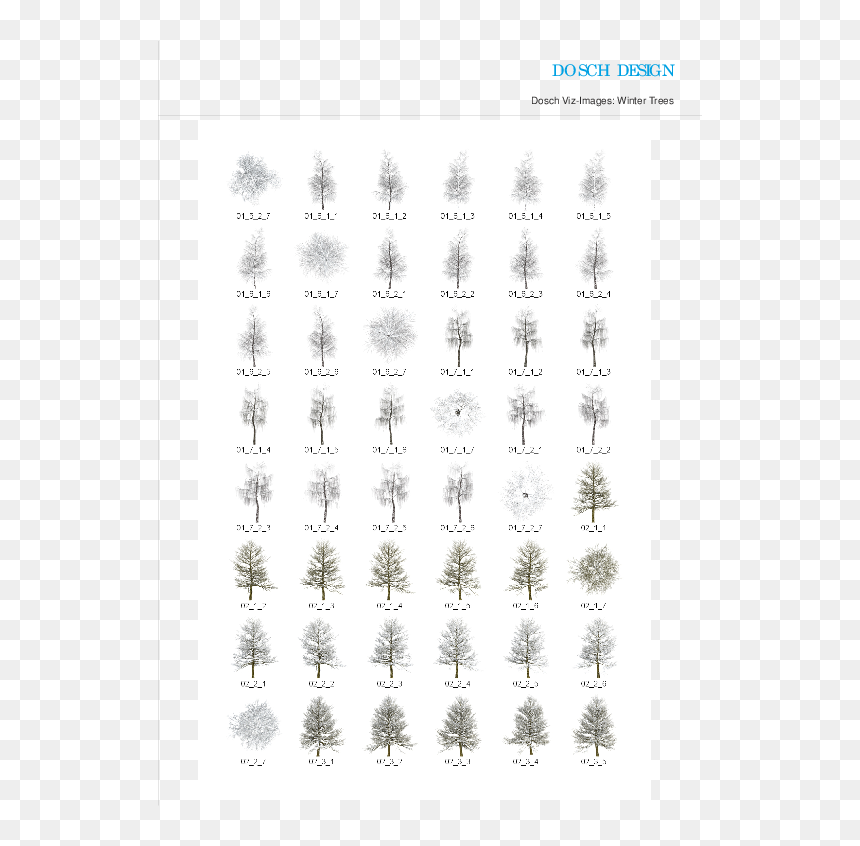 Number, HD Png Download - winter tree png