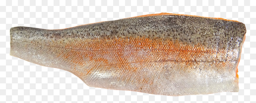 Fish Fillet, HD Png Download - trout png