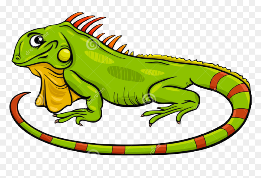Image Royalty Free Library Green Lizard Free On Dumielauxepices - Iguana Cartoon Png, Transparent Png - iguana png