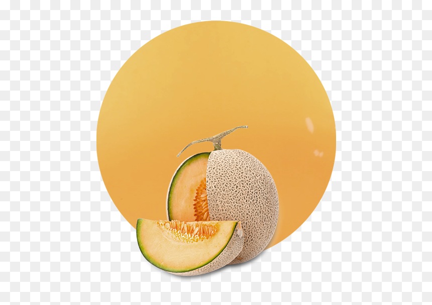 Honeydew, HD Png Download - cantaloupe png
