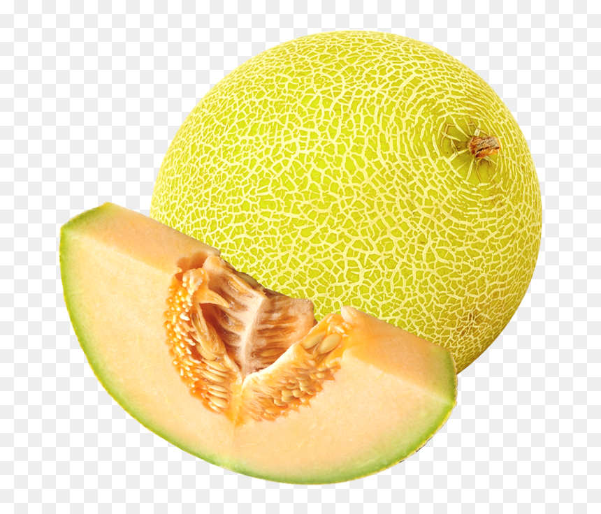Cantaloupe Melon Juice Concentrate - Honeydew, HD Png Download - cantaloupe png