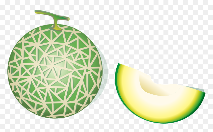 Melon Vector Png, Transparent Png - cantaloupe png