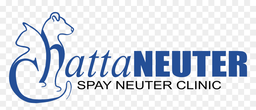 Subscribe To Our Newsletter - Cattleya, HD Png Download - subscribe.png
