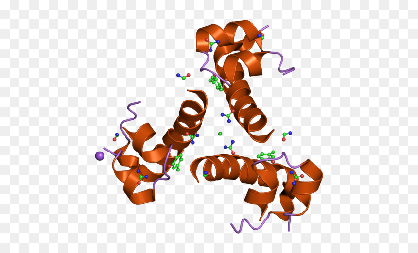 Pdb 2omg Ebi - Illustration, HD Png Download - omg png