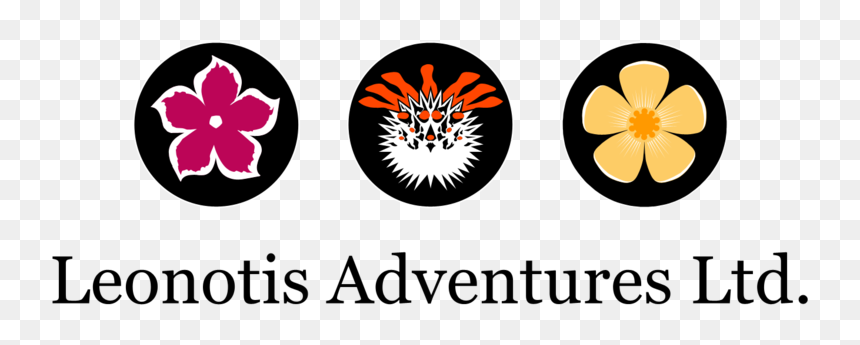 Adventures-transparent - Étapes De La Grossesse, HD Png Download - footsteps png