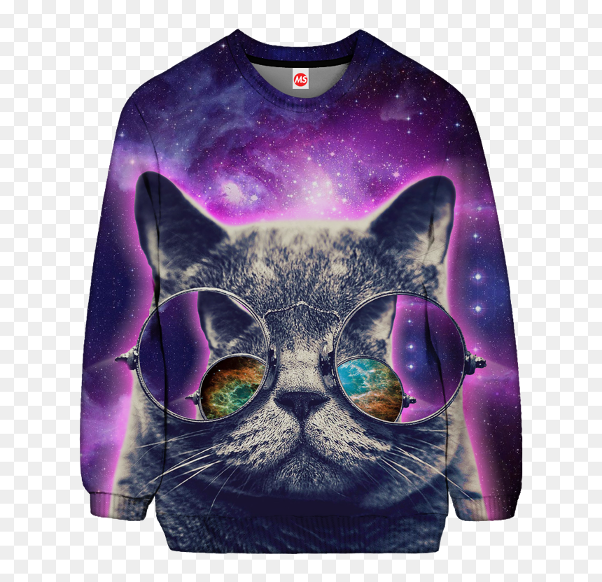 Ripped Kitten Sweatshirt - 1280 X 800, HD Png Download - cool sunglasses png