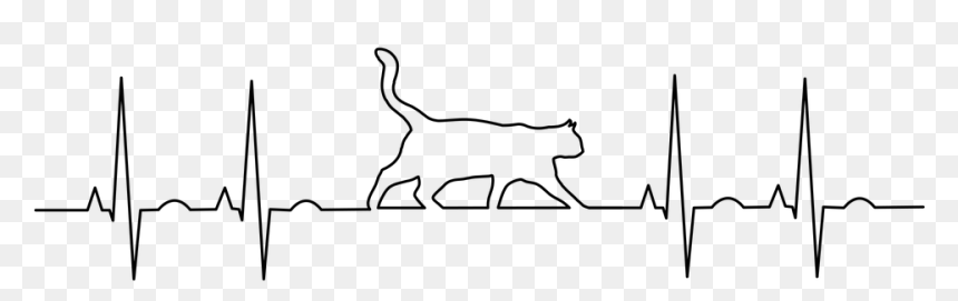 Anatomy Aorta Cat Dog, HD Png Download - ekg png