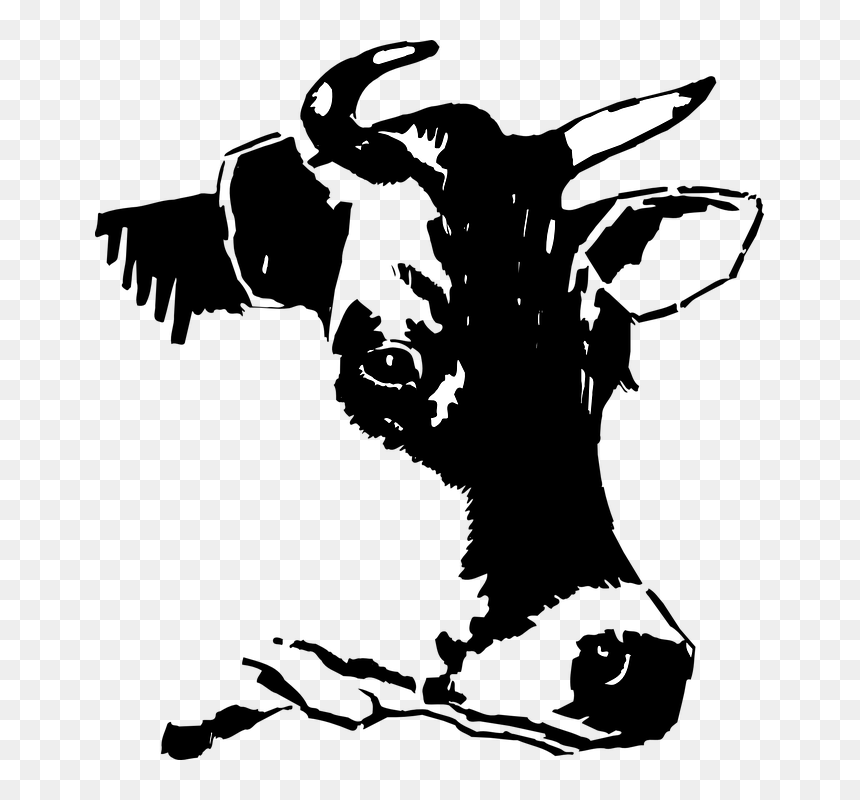 Cow Head Png Black And White, Transparent Png - cow head png