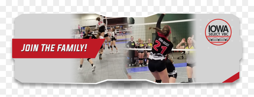 Volleyball, Hd Png Download - Volleyball, Transparent Png - volleyball net png