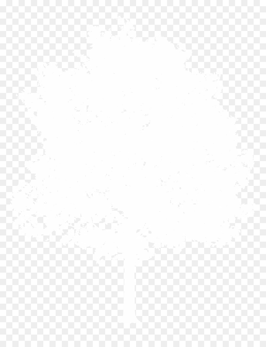 Thumb Image - Illustration, HD Png Download - white tree png