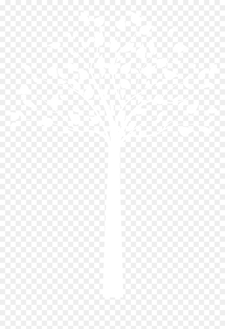 Image Not Found On Media Library - Png White Tree, Transparent Png - white tree png