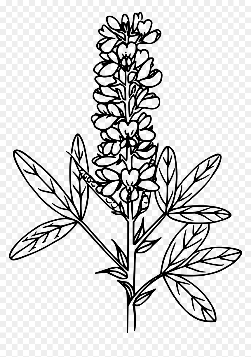 Mountain Pea - Clip Art, HD Png Download - mountain outline png