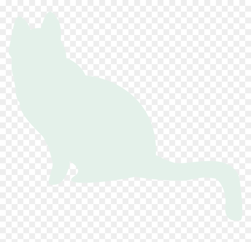 To Medium Sized Cats - Squitten, HD Png Download - white cat png