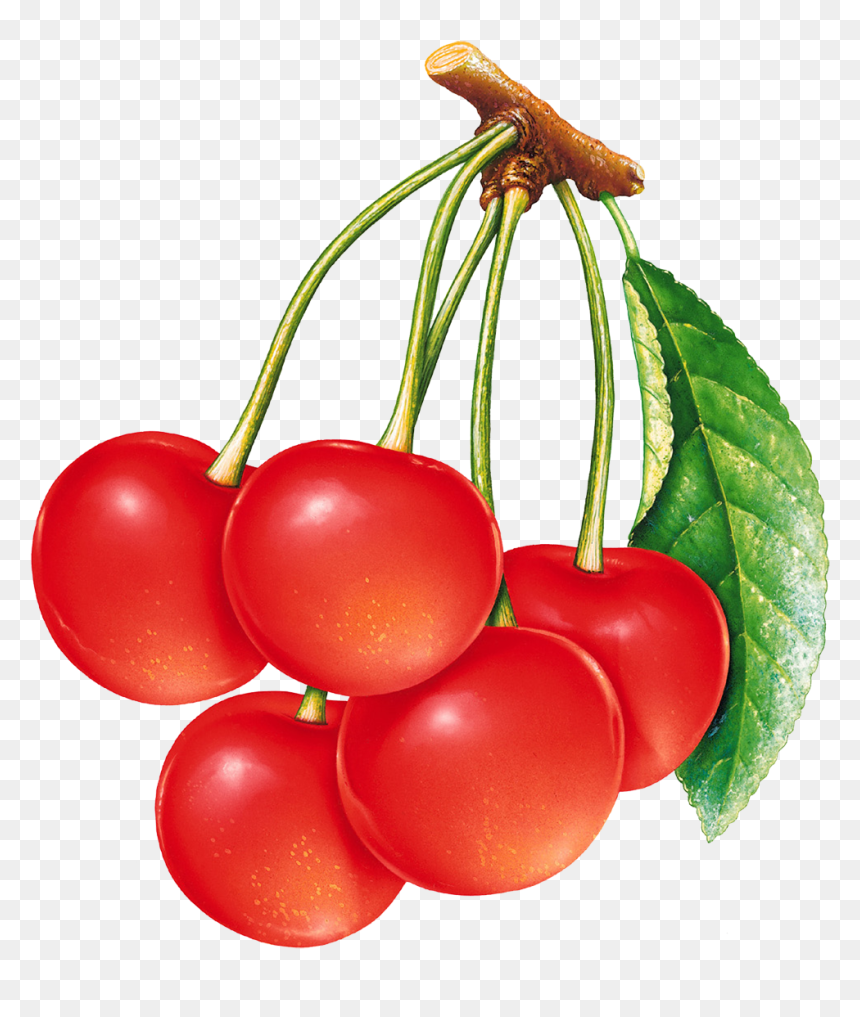 Cherries Png Image - Bunch Of Cherries, Transparent Png - cherries png