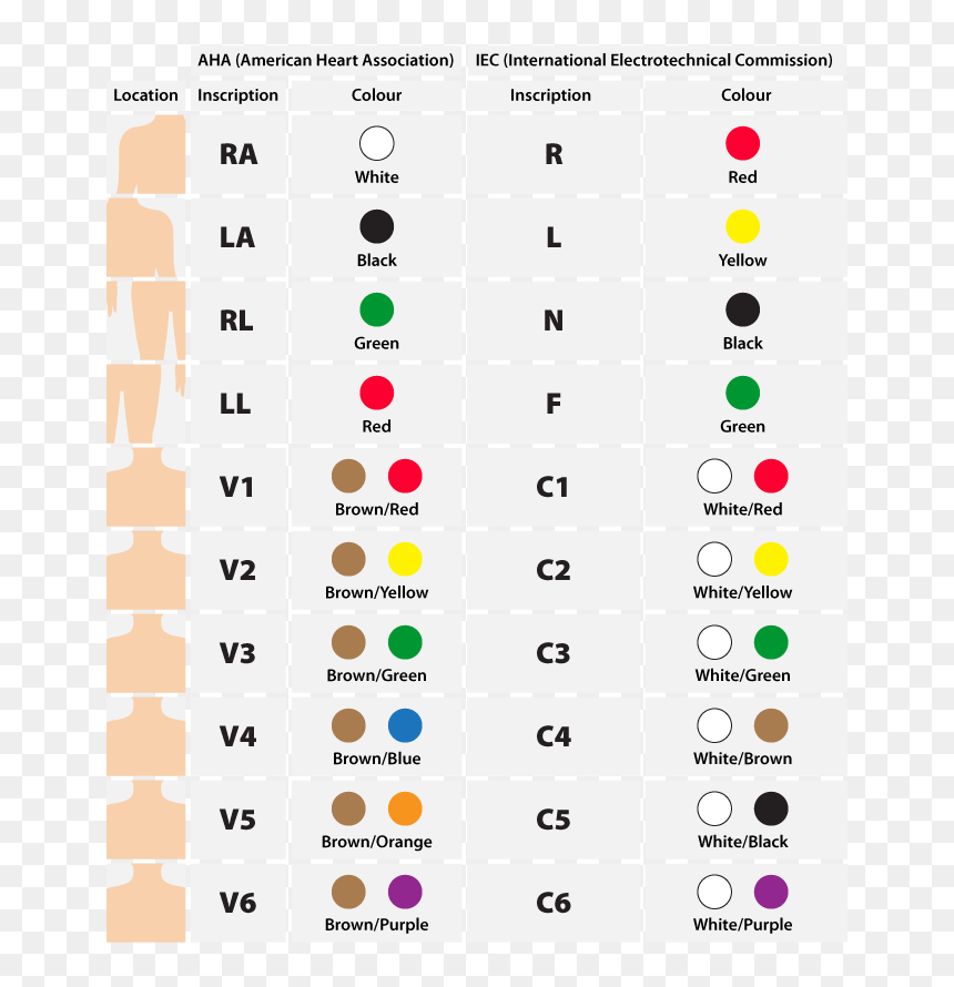 12 Lead Ecg Placement, HD Png Download - ekg png