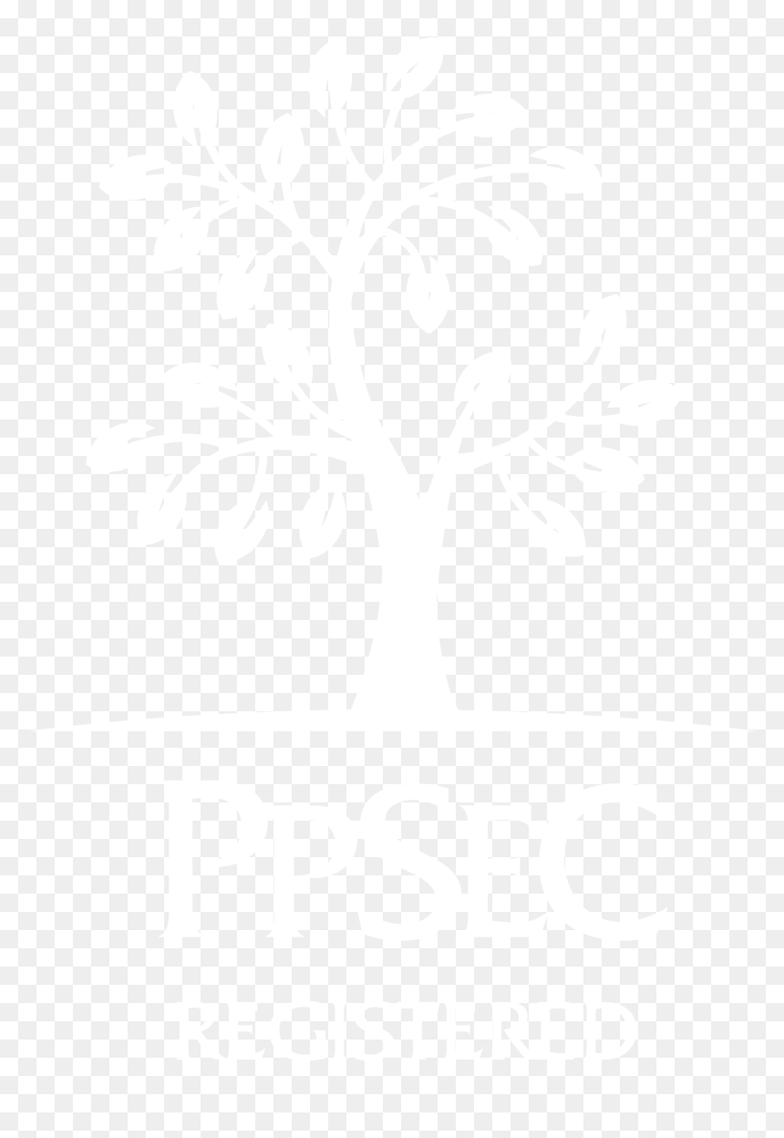 Johns Hopkins Logo White, HD Png Download - registered logo png