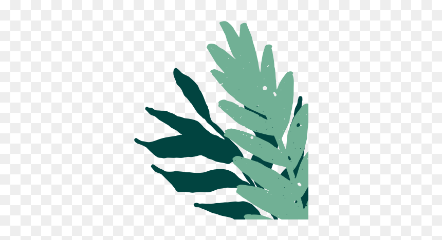 Illustration, HD Png Download - trees top view png