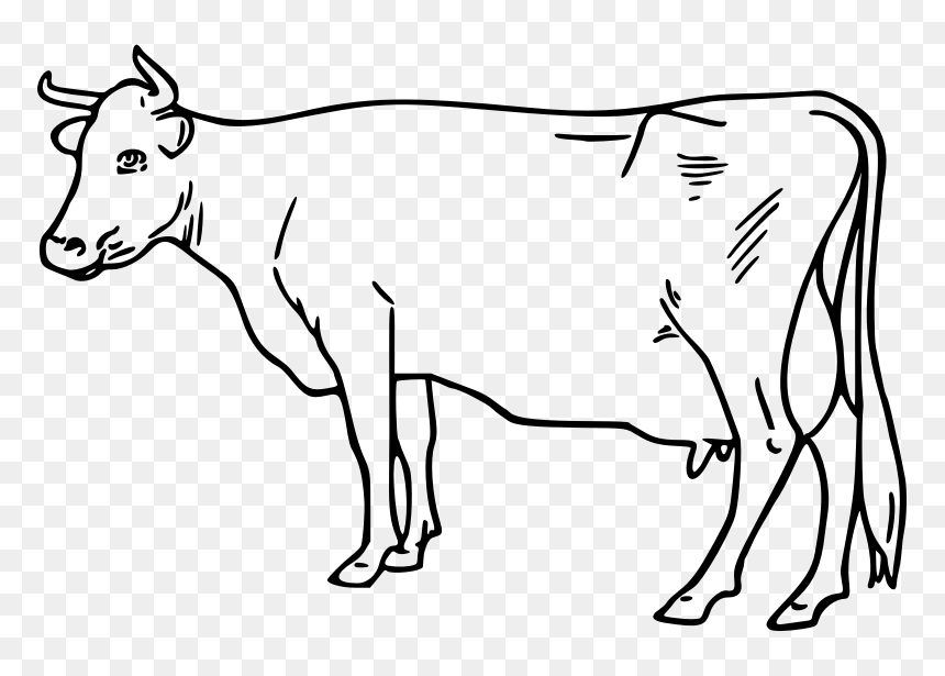 Cow - Cow Black And White Clipart Png, Transparent Png - cow head png