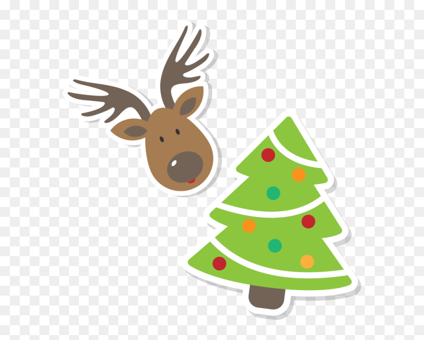You Could Win An Exclusive Skoolz Academy Christmas - Christmas Tree, HD Png Download - you win png