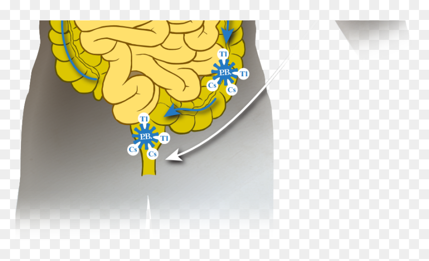 Vector Graphic Showing The Radioactive Materials Move - Illustration, HD Png Download - radiation symbol png