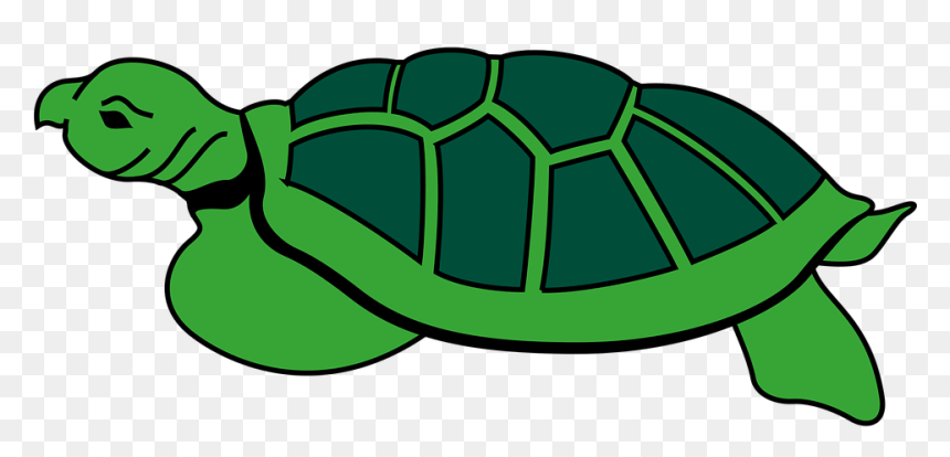 Animal Reptile Tortoise Turtle Tortoise To - Turtles Shell, HD Png Download - tortoise png