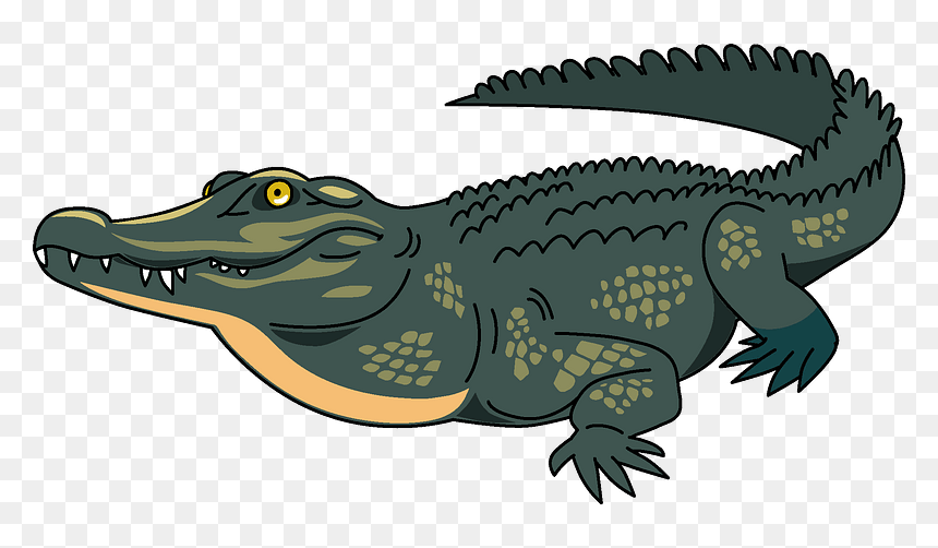 Crocodile Clipart, HD Png Download - crocodile png