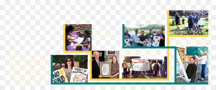 Montage Of Photographs Of Mlf Activists - Flyer, HD Png Download - mountain lion png