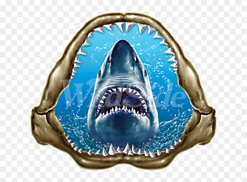 Great White Shark, HD Png Download - jaws png