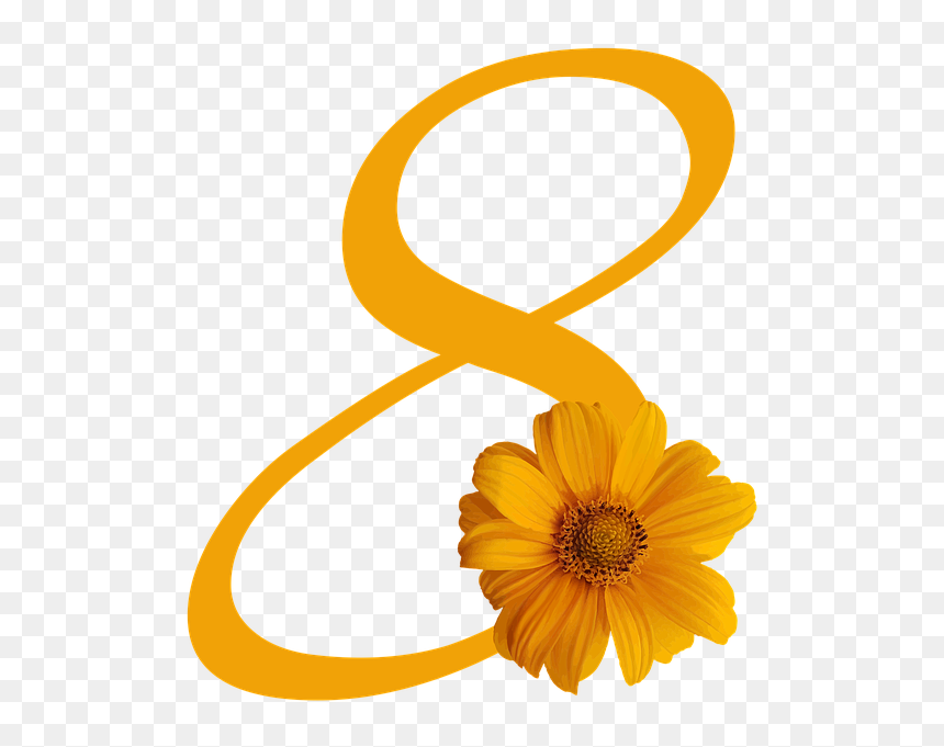 8 March Woman Day Png, Transparent Png - women's day png